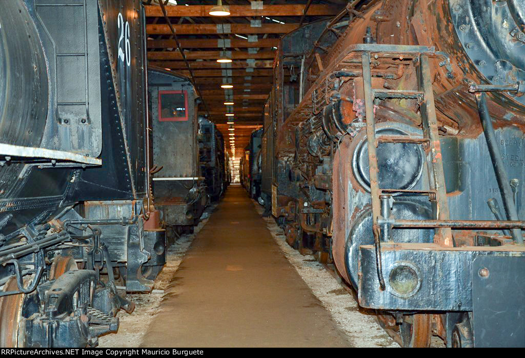 Steam Locomotives inside the shed